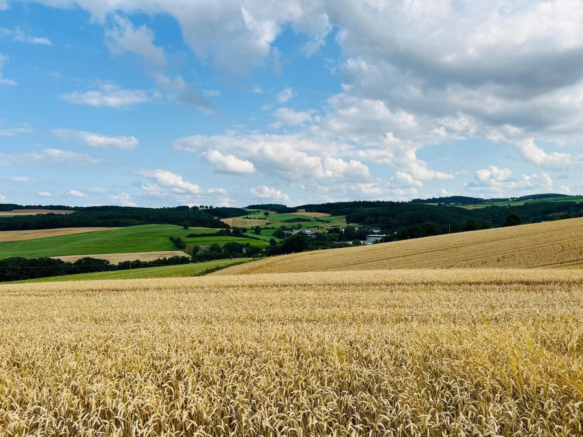 Ferienwohnung In Der Schoenen Eifel! Mechernich Exterior foto